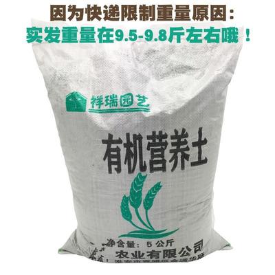 玩具与有机肥料 一场创意与自然的绿色实验