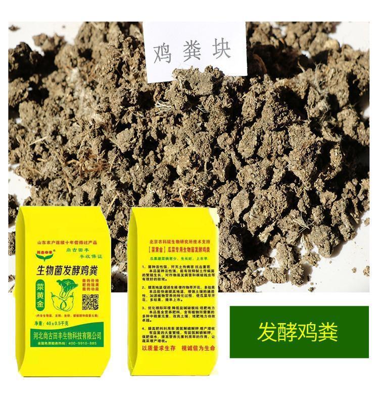 生物有机肥 现代可持续农业的绿色动力