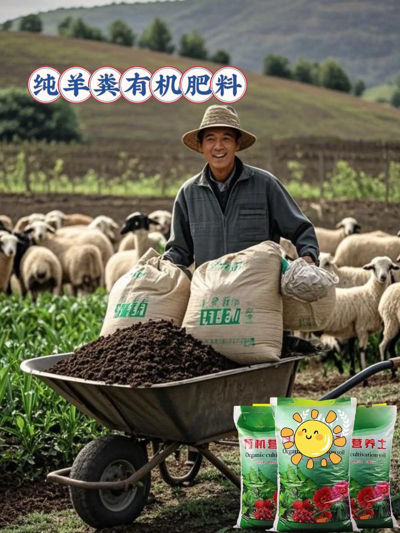 养花种菜通用无异味.花友菜友速看!纯羊粪肥,经有机