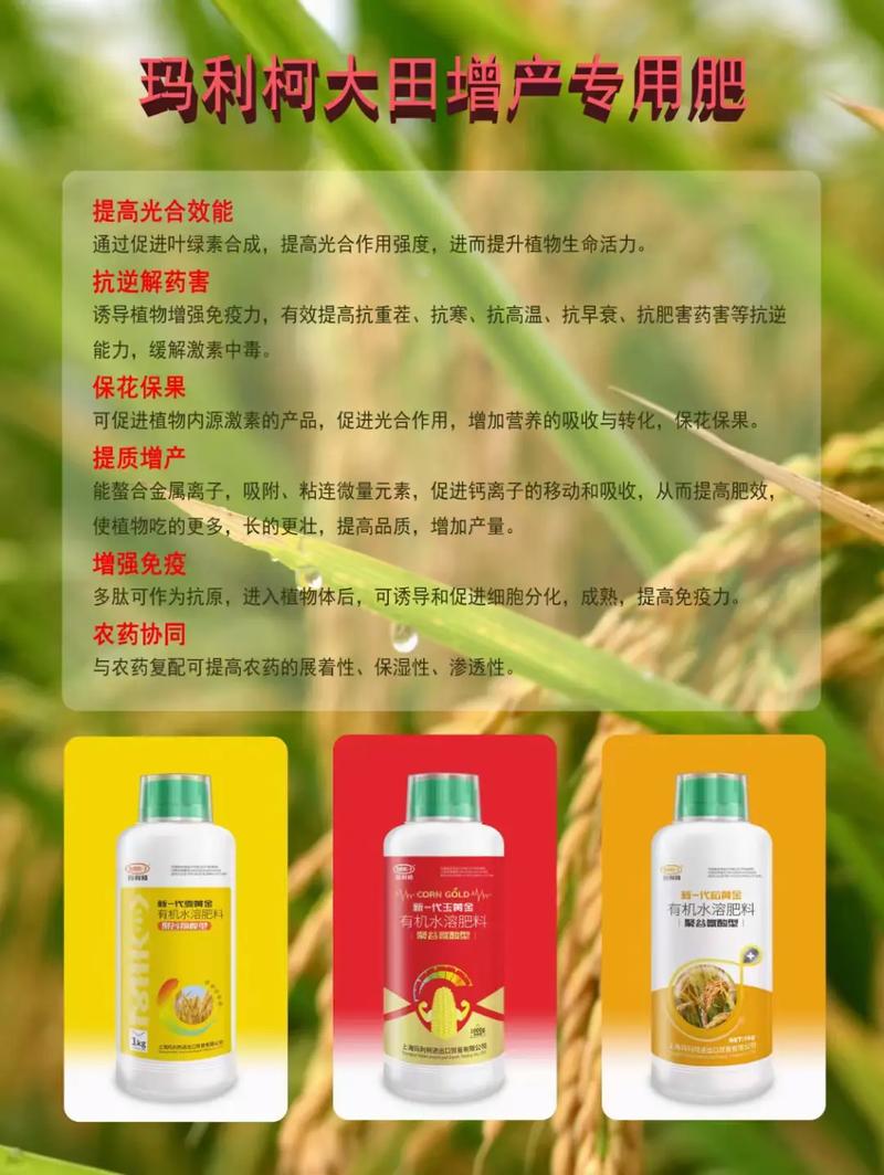 玉黄金有机水溶肥料 聚谷氨酸型 玉米专用肥#农资肥