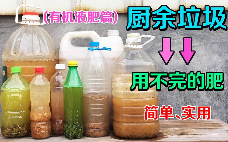 厨余垃圾变废为宝 家庭DIY有机肥完全指南